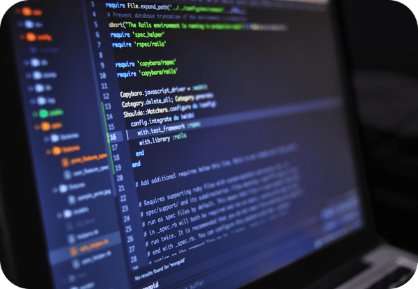 Hardware and Software Development